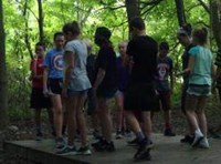 Kids on a wooden bridge in a forest